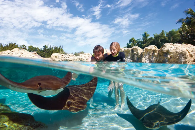Discovery Cove Premium Drink Package