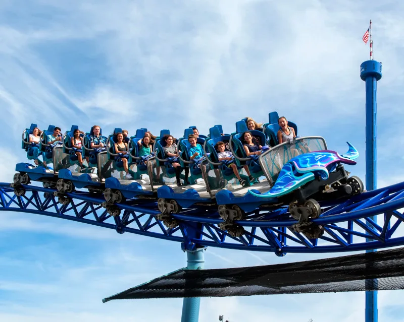 SeaWorld Orlando All Day Dining Deal