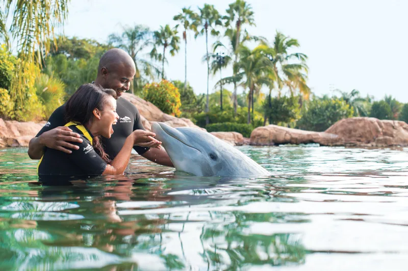 Discovery Cove - 2 & Under Package
