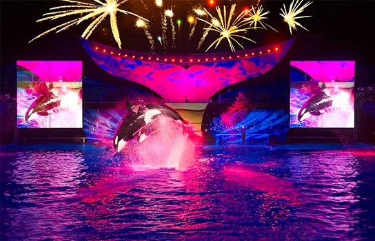 SeaWorld Orlando Summer Nights Series