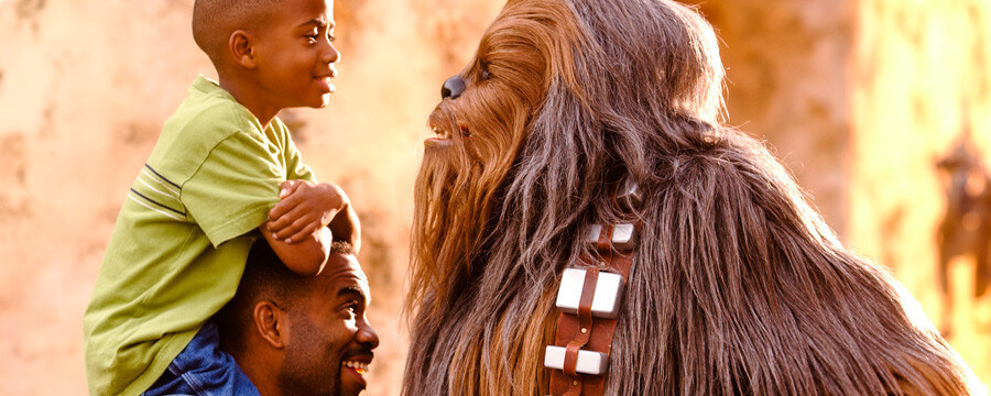 Disney Hollywood Studios