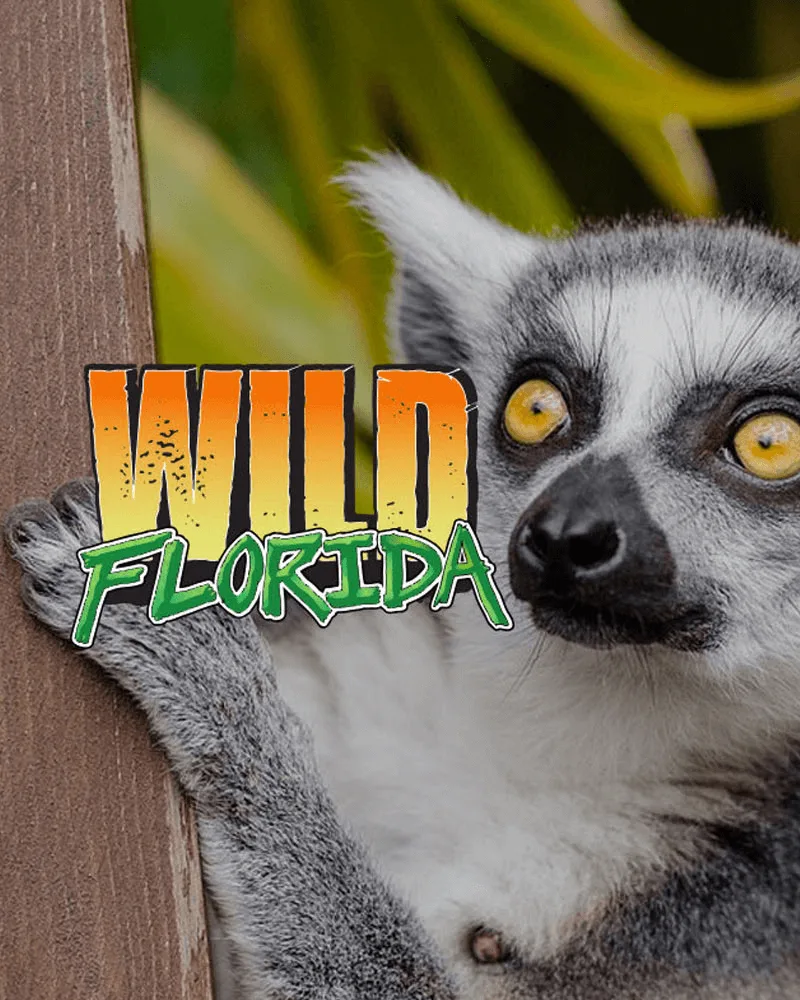 Wild Florida Airboats & Wild Life Park